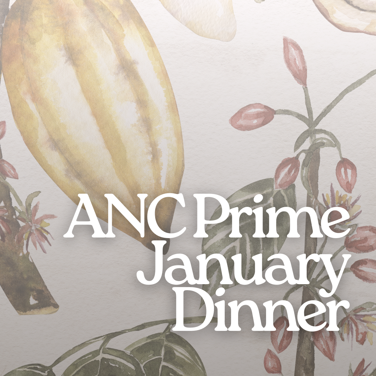 ANC Prime January Dinner