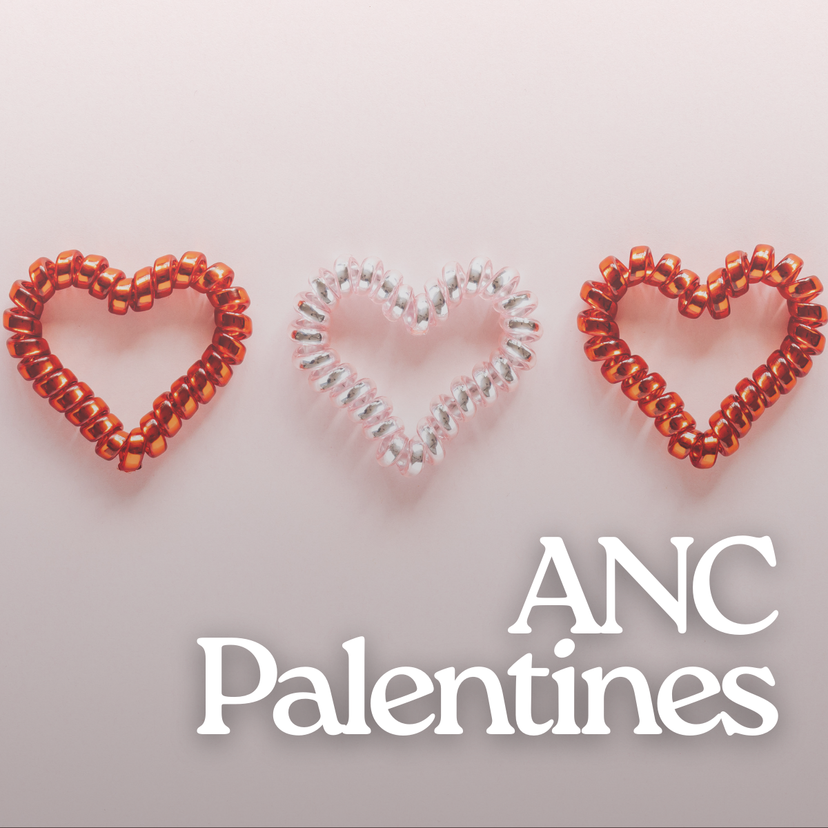 Pal-entines Celebration