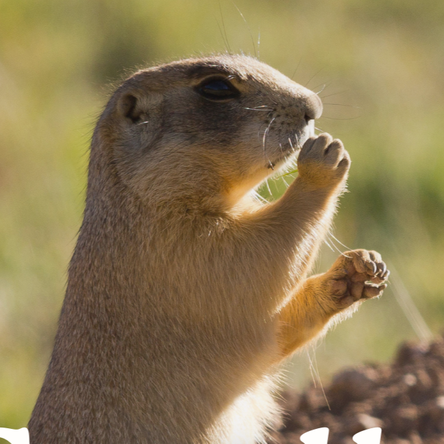 Group Leader Gathering