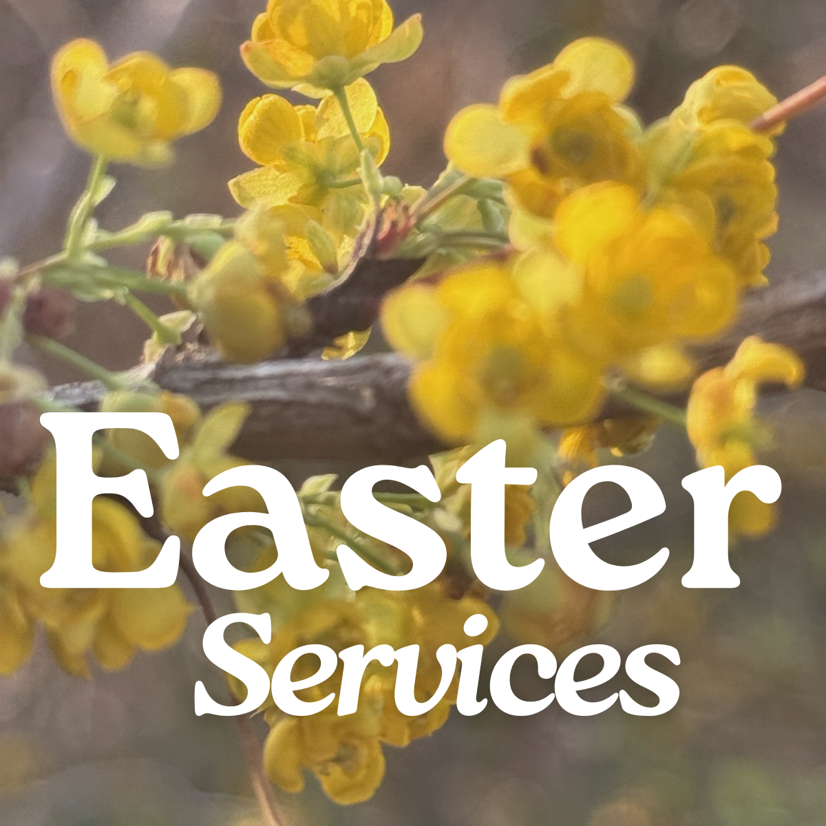 Easter