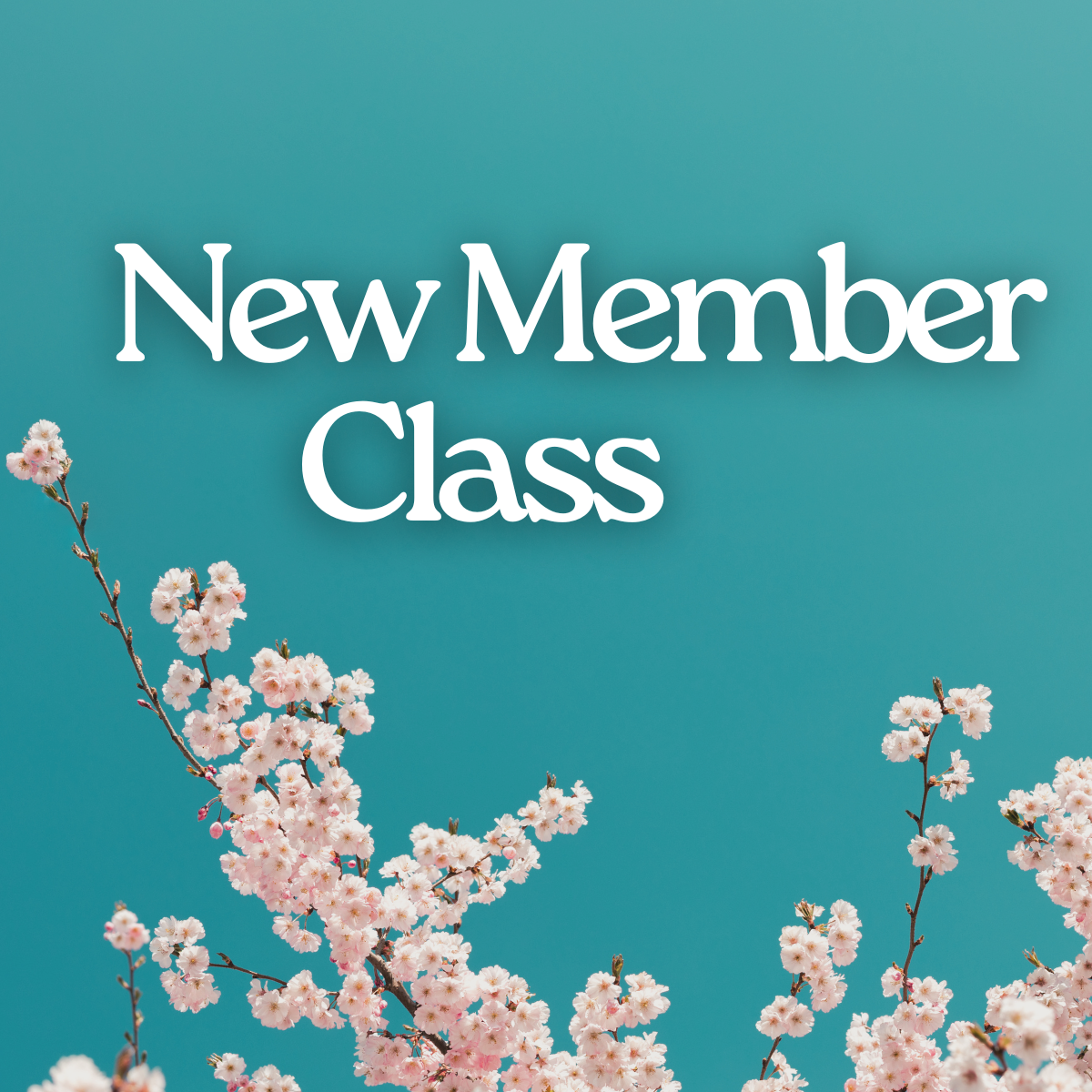 New Member Class
