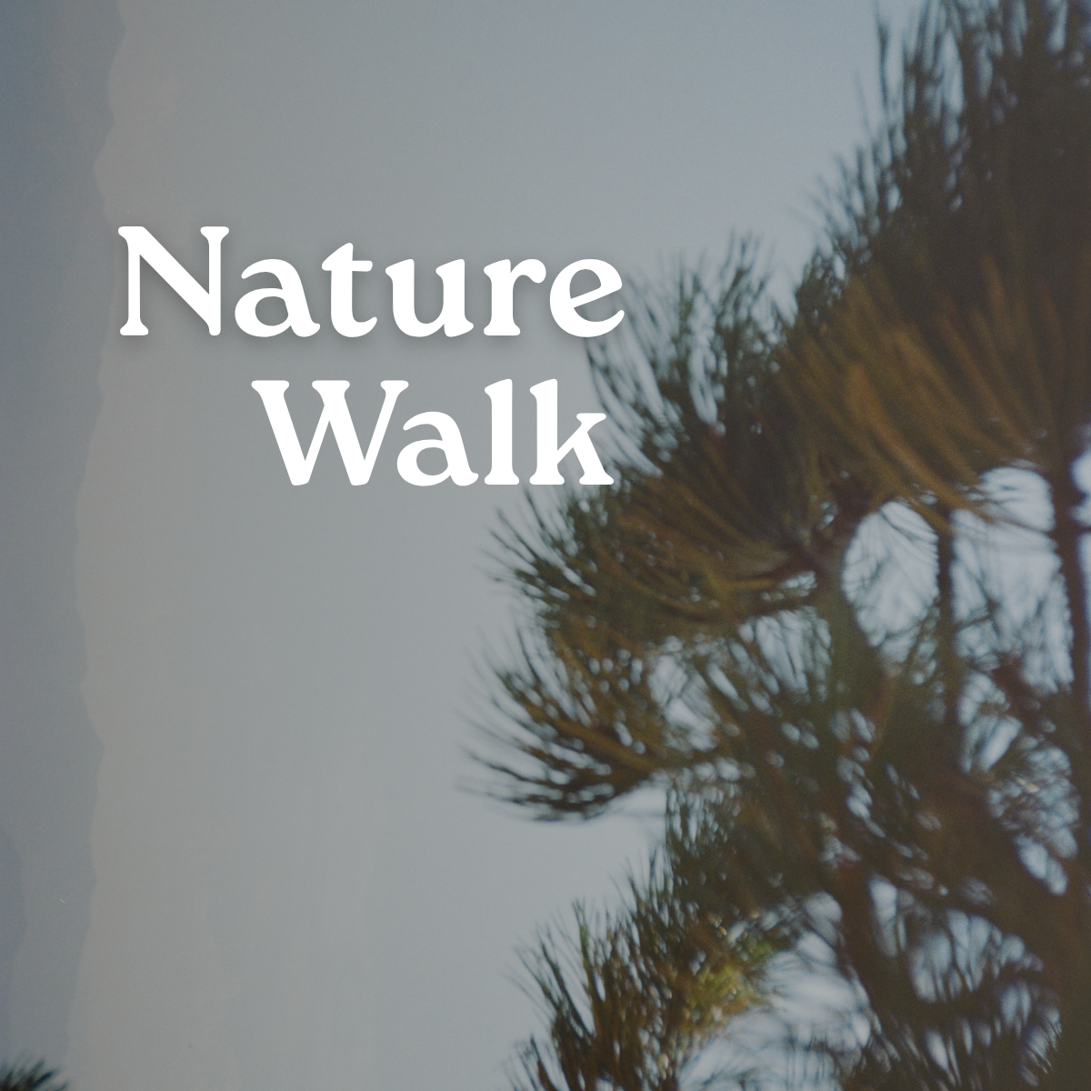 Nature Photography Walk