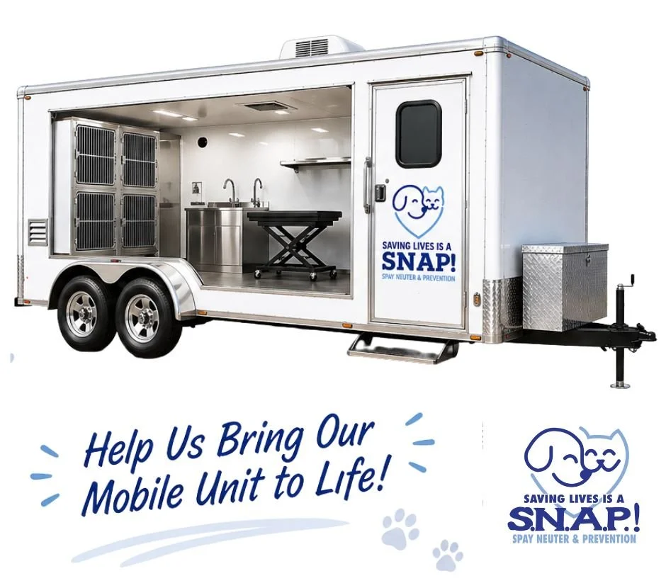 Partner Spotlight: SNAP (Spay, Neuter &amp; Prevention)