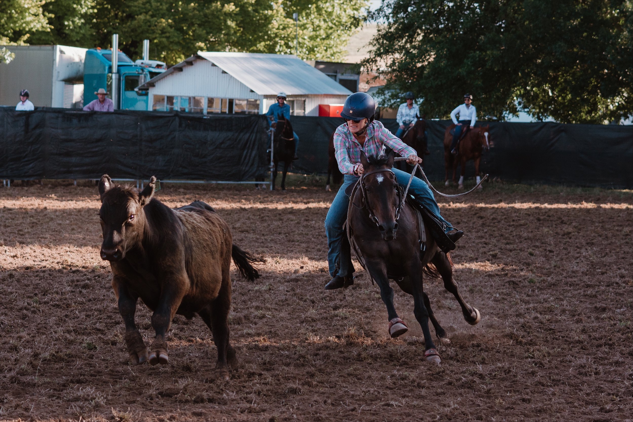 Taralga Campdraft