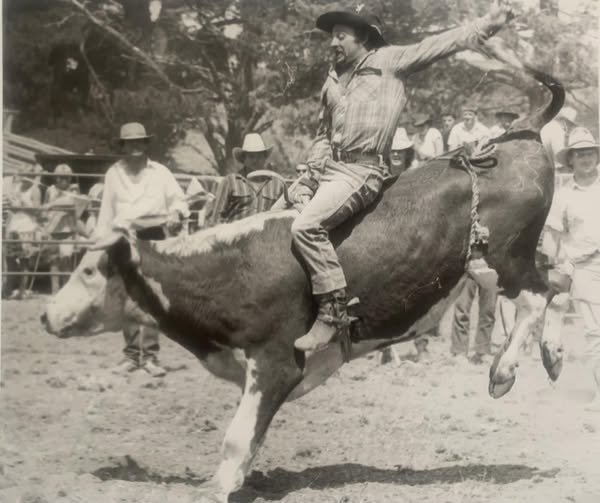 Taralga Rodeo