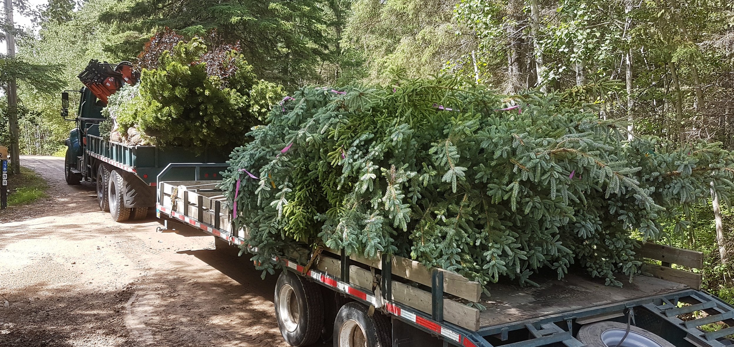Leaders In Landscaping