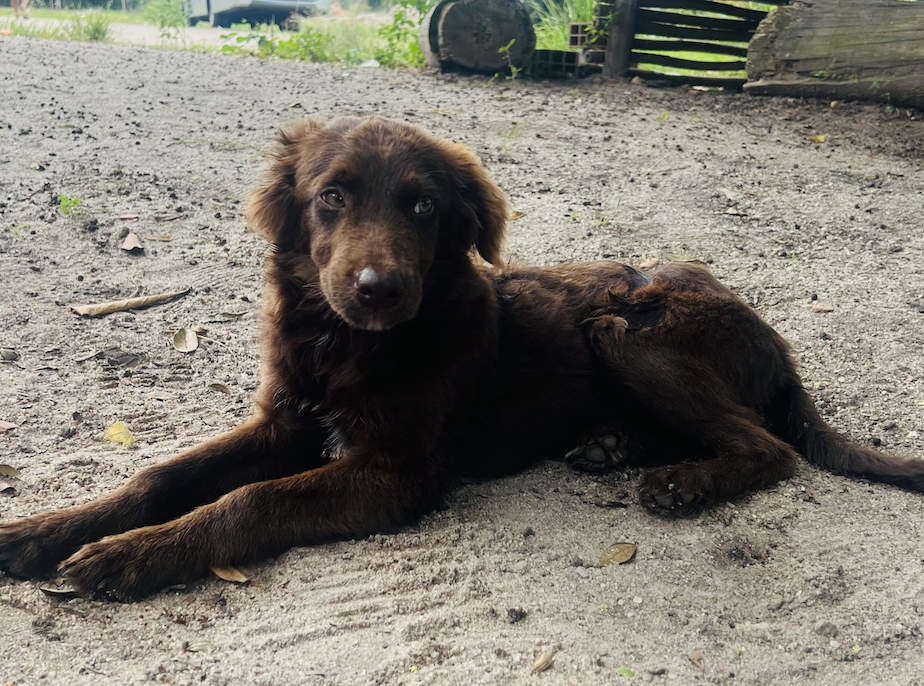 Visiting An Indigenous Community 