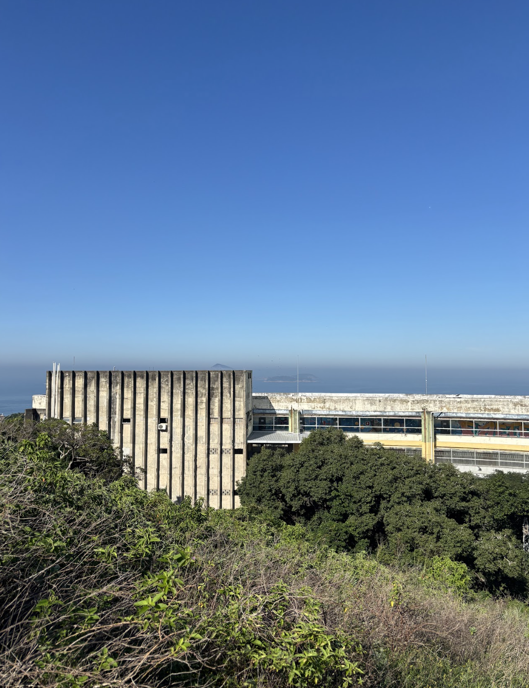 CENTRO DE REFERENCIA DA JUVENTUDE
