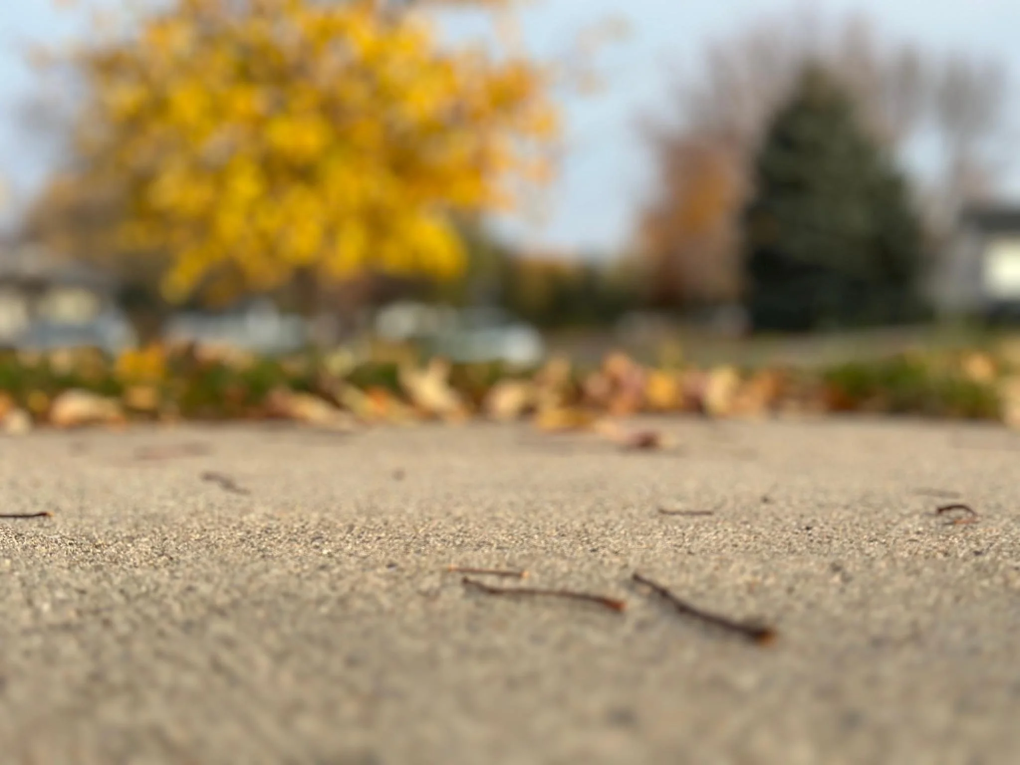 Performance: "Feather" at Gustavus Adolphus College