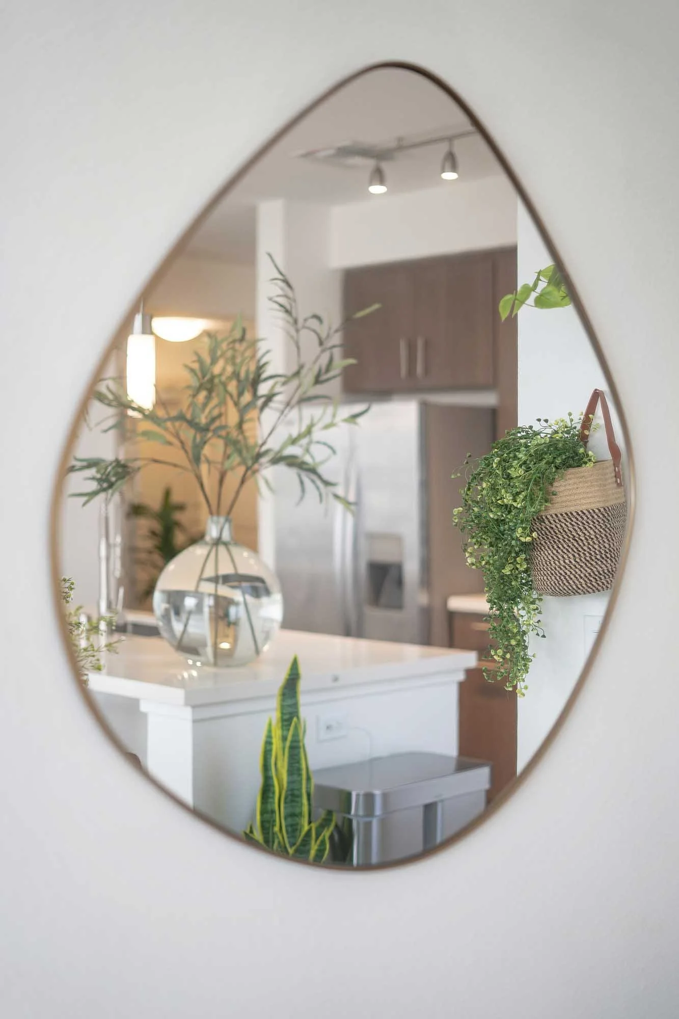 Interior Designer San Diego Casa De Z Interiors Mid Mod Mash Up.23.jpg