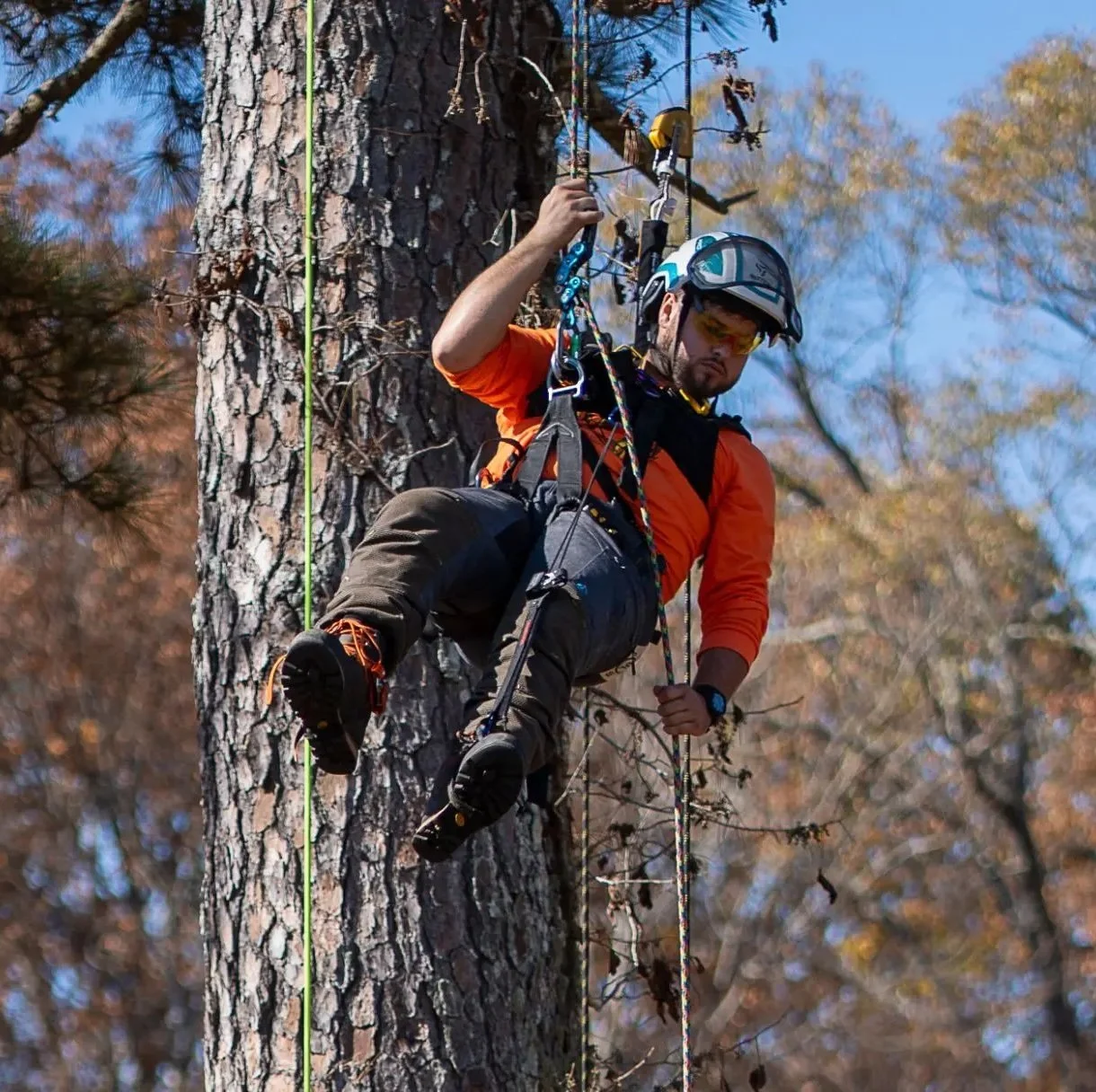 I Spent a Weekend Among the Arborists at a Tree Climbing Competition || OUTSIDE