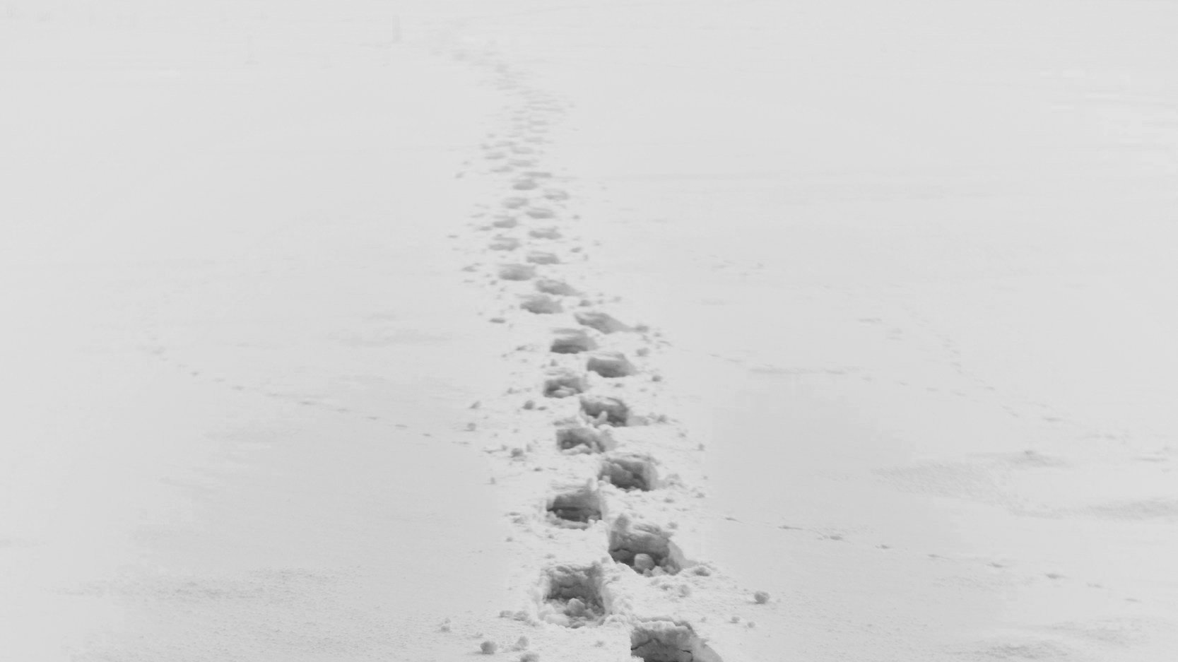 I Am the Yeti…Again.