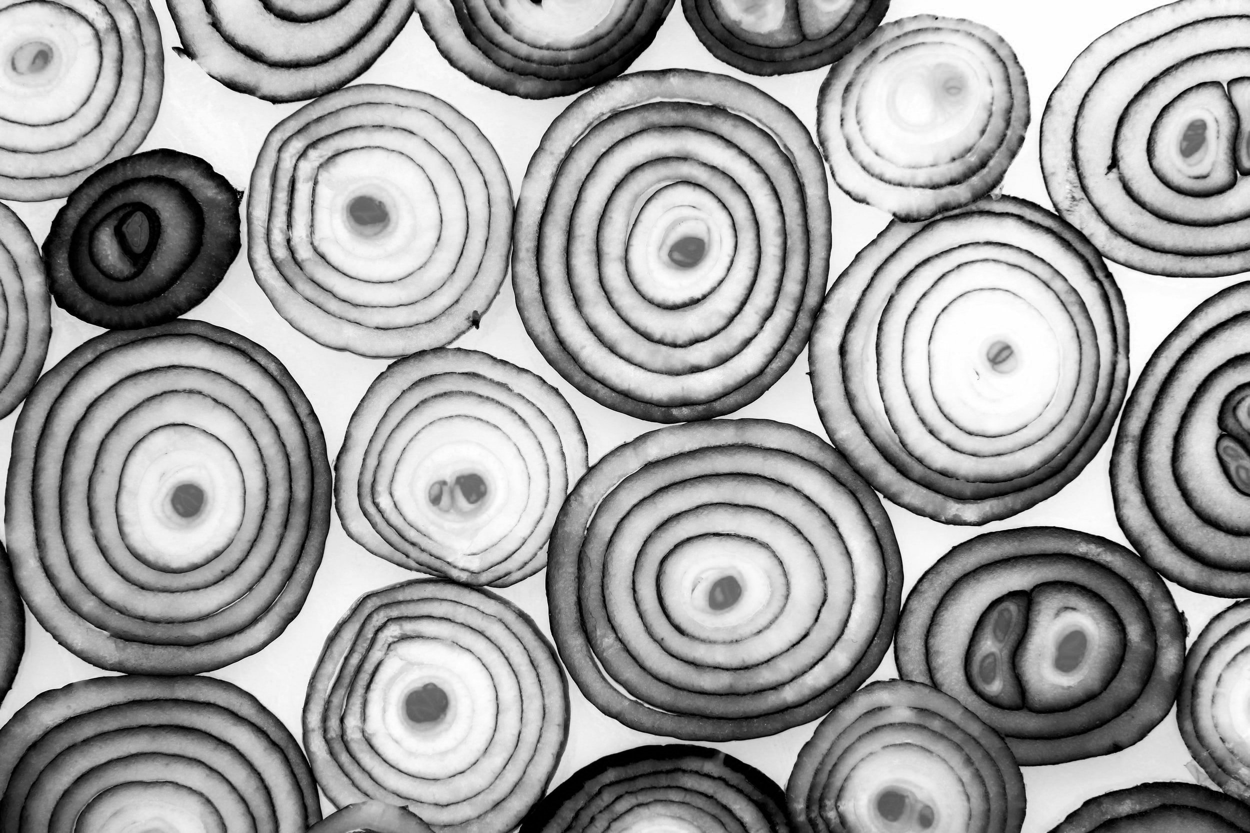 Lilies and Onions: A Poem