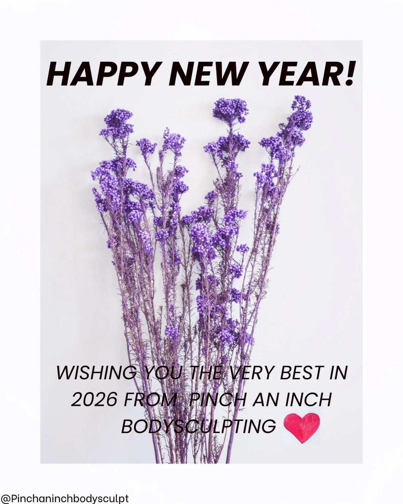Wishing you a happy, healthy New Year.
I&rsquo;m grateful to be part of your journey. 
❄️
❄️
❄️
❄️
#bodyfattreatments #bodycontouringnz #pinchaninchbodysculpt #fatfreezingnz
