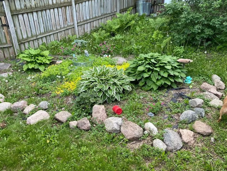 Mulching Before 1.jpeg