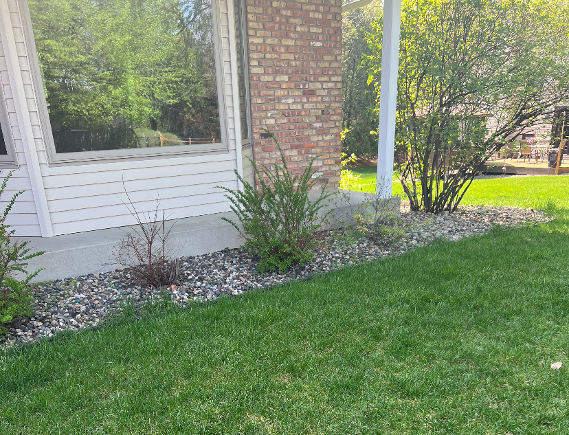 Old Front Rock Bedding 