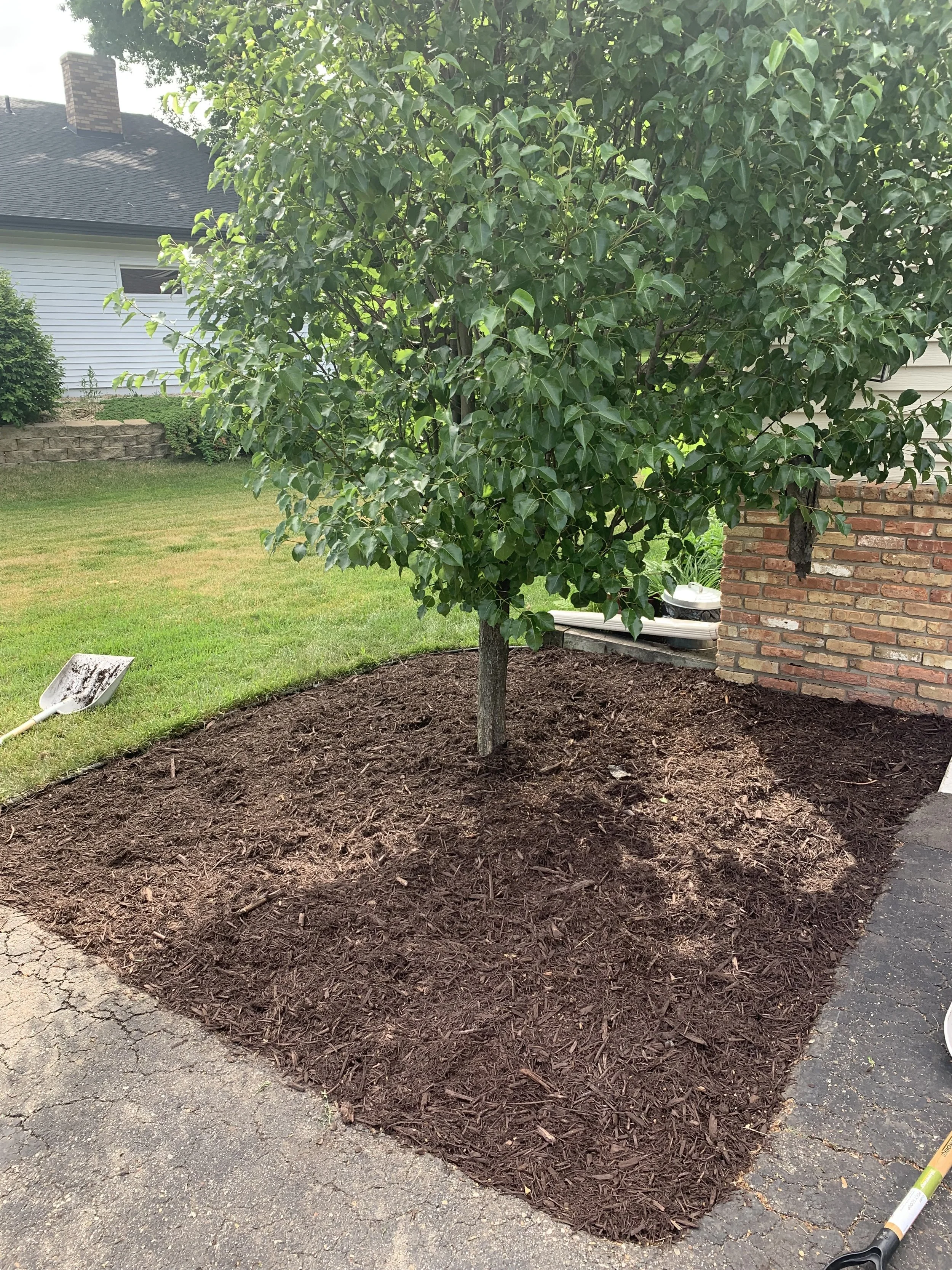 New mulch installed!