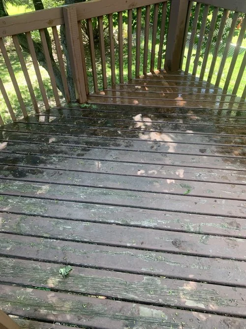 Painting Deck + Power Wash 1.jpeg