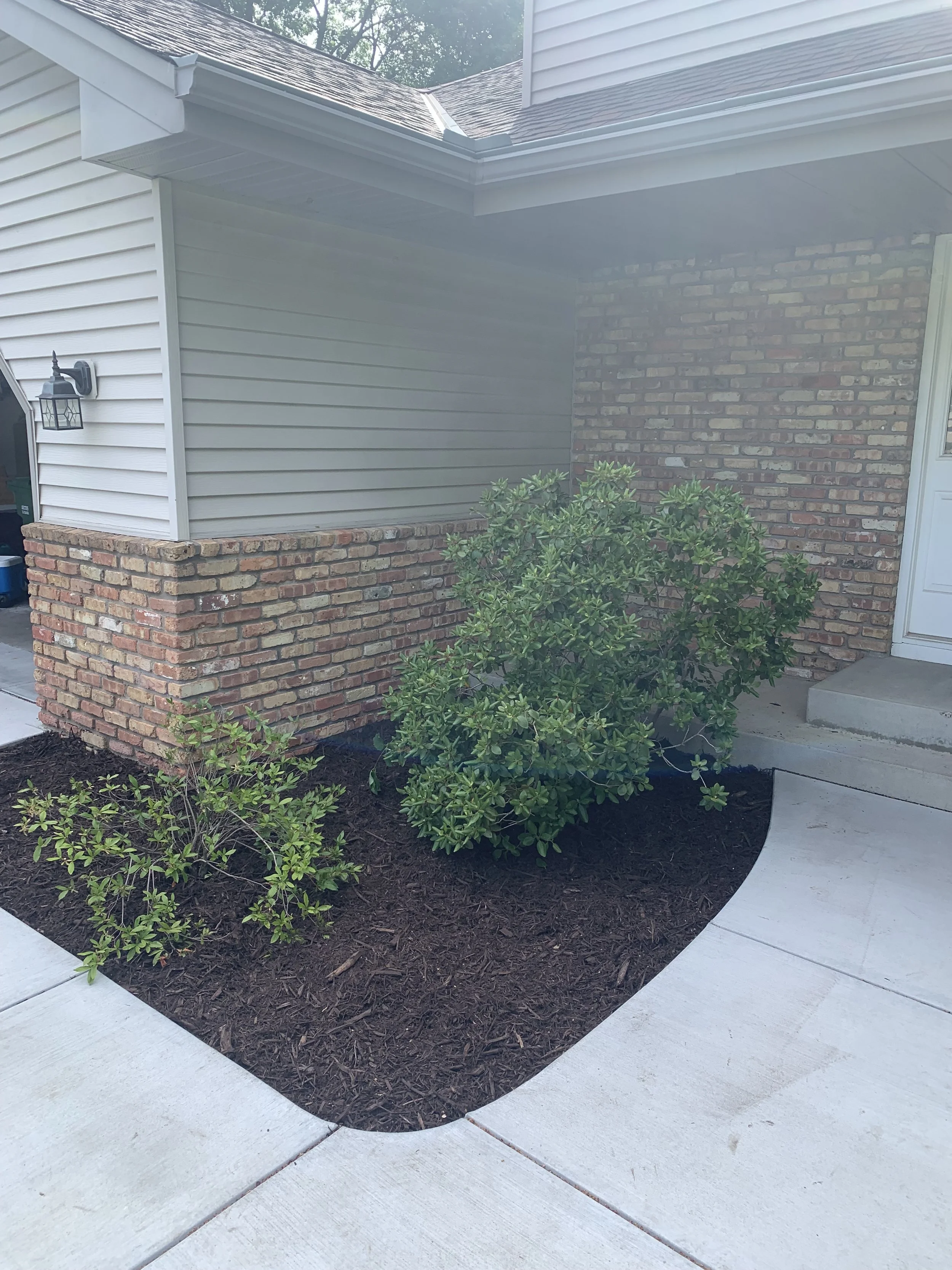 Rocks removed, tarp laid, new mulch installed!