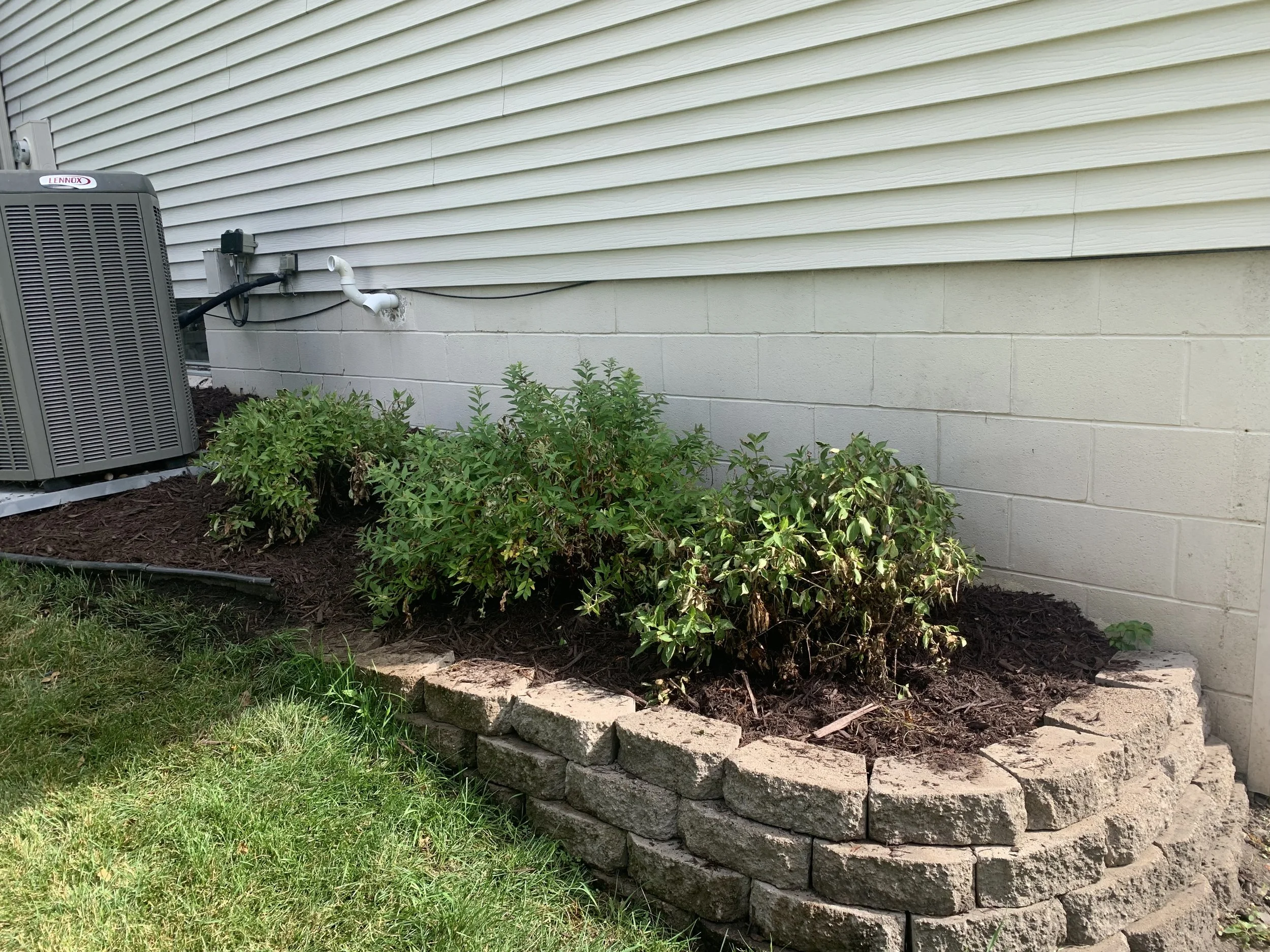 Tarp laid, plants transplanted, & new mulch installed!