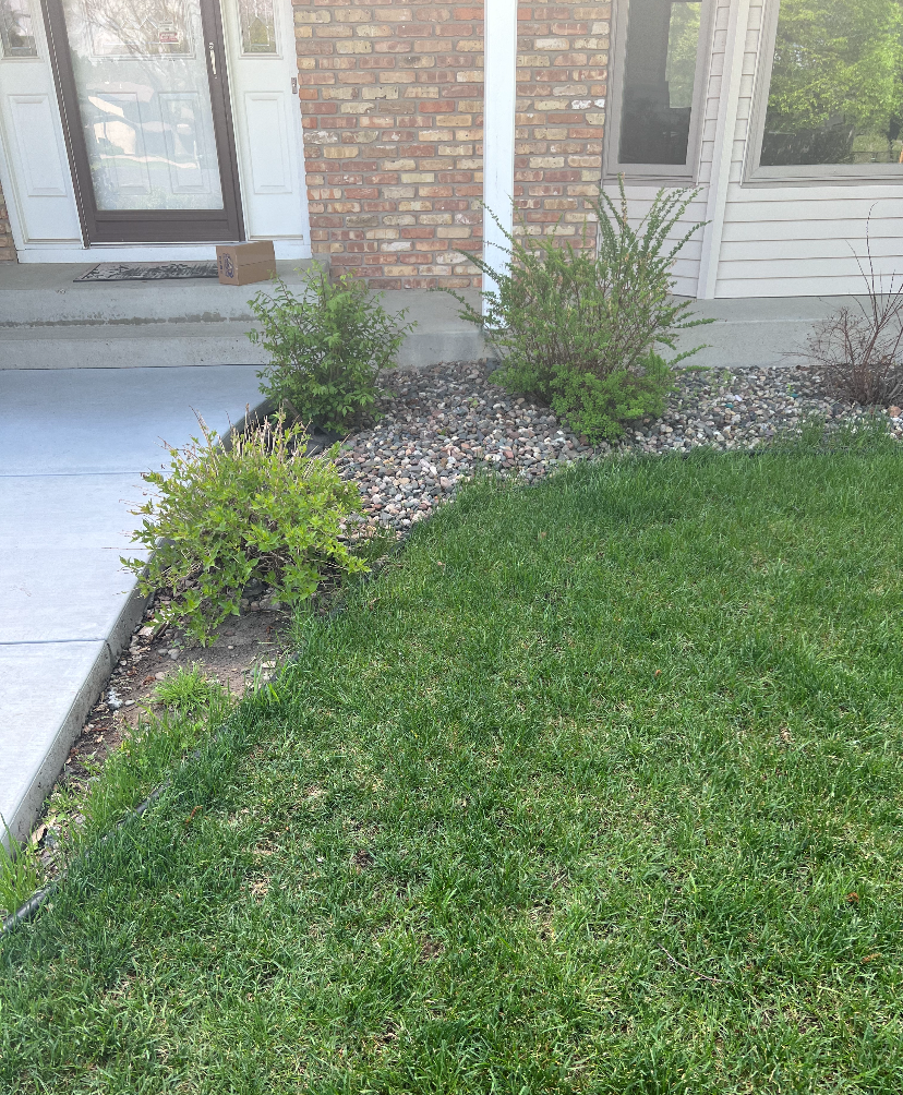 Old Front Rock Bedding