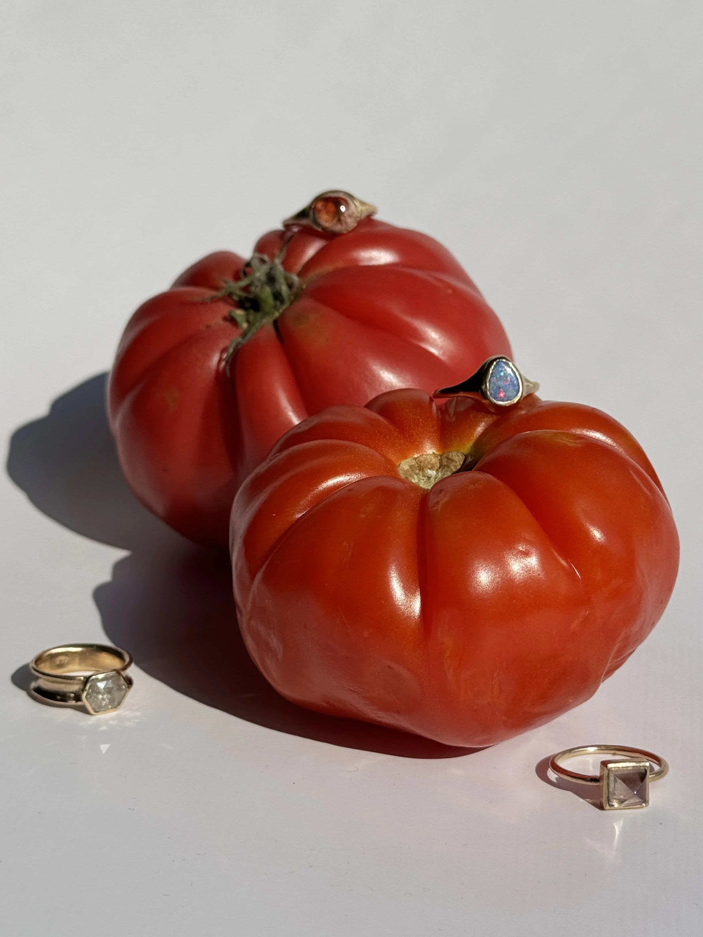 On Beginnings — and a Rainy Day Reminder