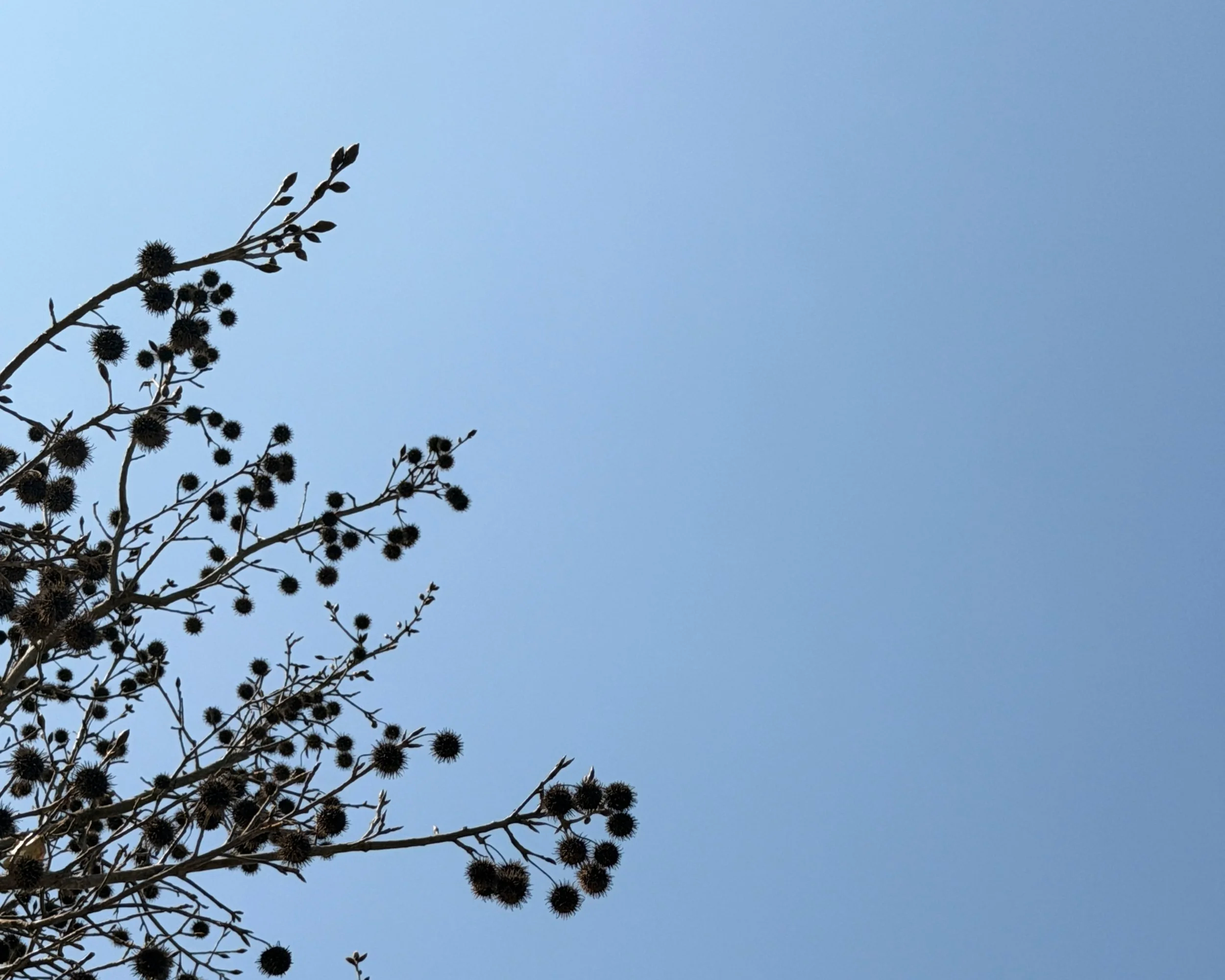 A Quiet Goodbye, For Now