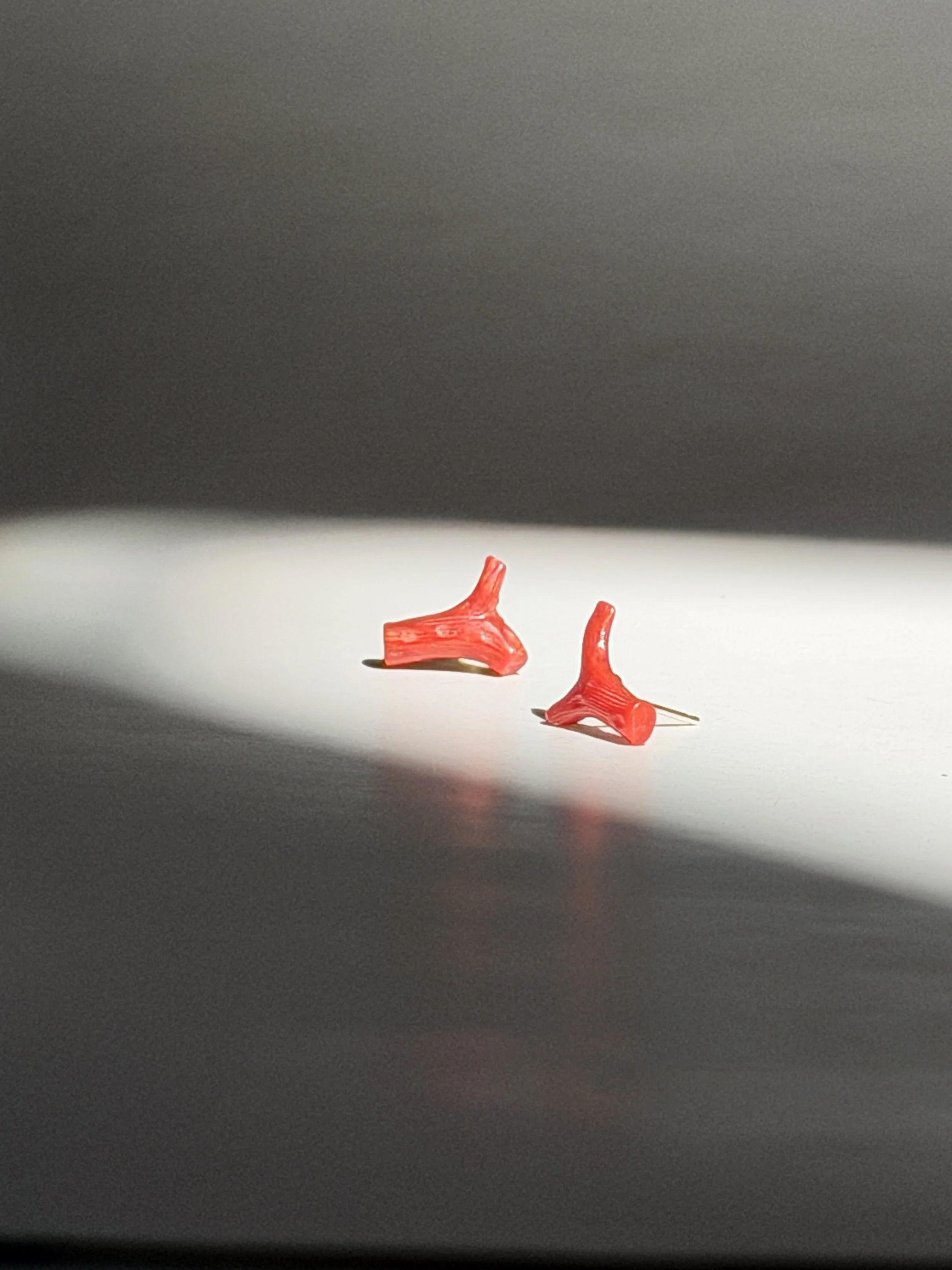 OS_Coral Studs 01.jpg