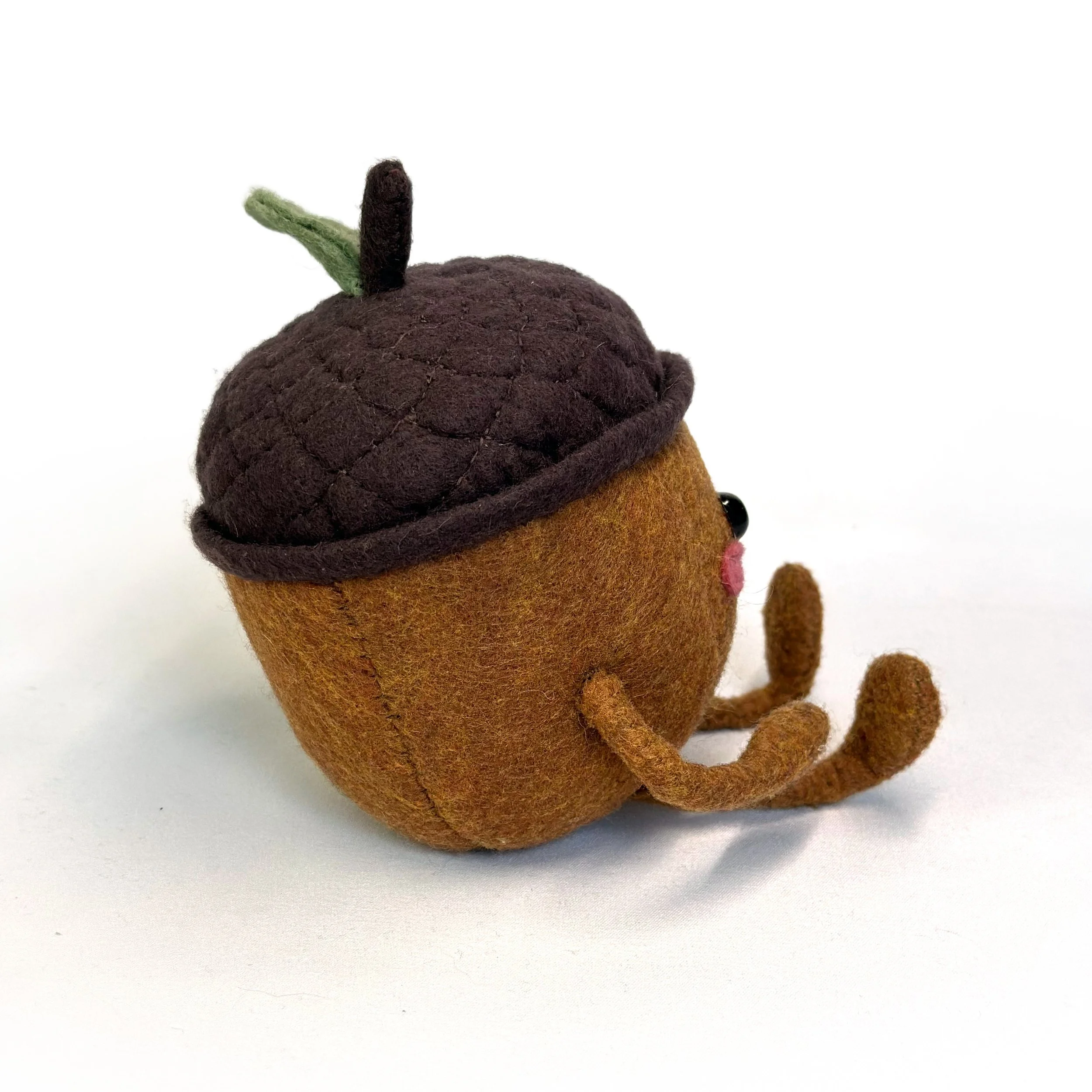 Acorn_BackThird1.jpg