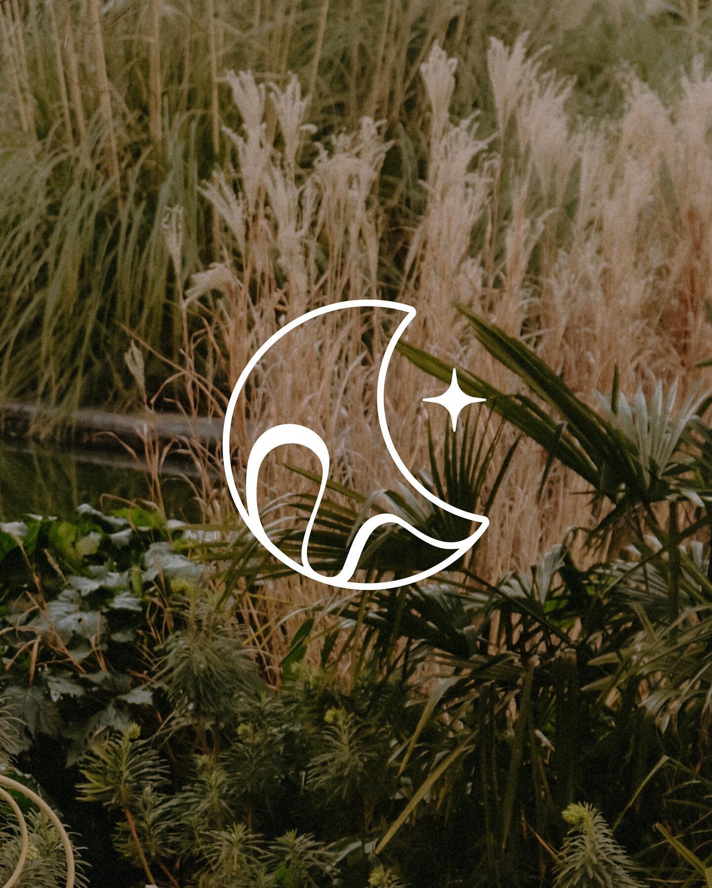 The creative process on this branding was possibly the shortest of all concepts presented. 

It came naturally, it flowed freely, and I was so happy when @dearlunar_camden went with this one, like it was meant to be!