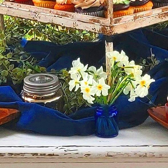 daffodil+blue.jpg