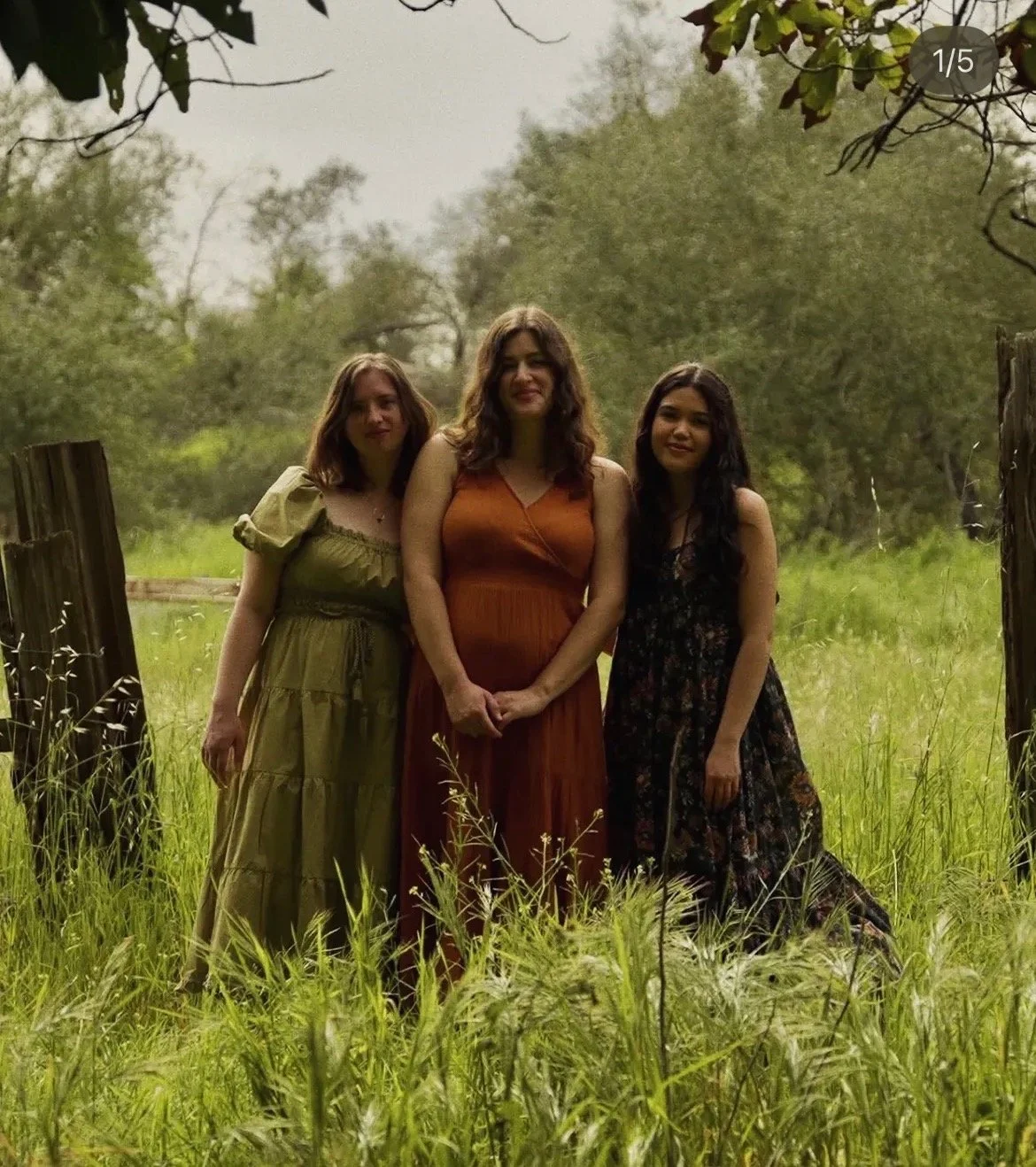 IRISH NIGHT: Live Music from Acaciawood Trio
