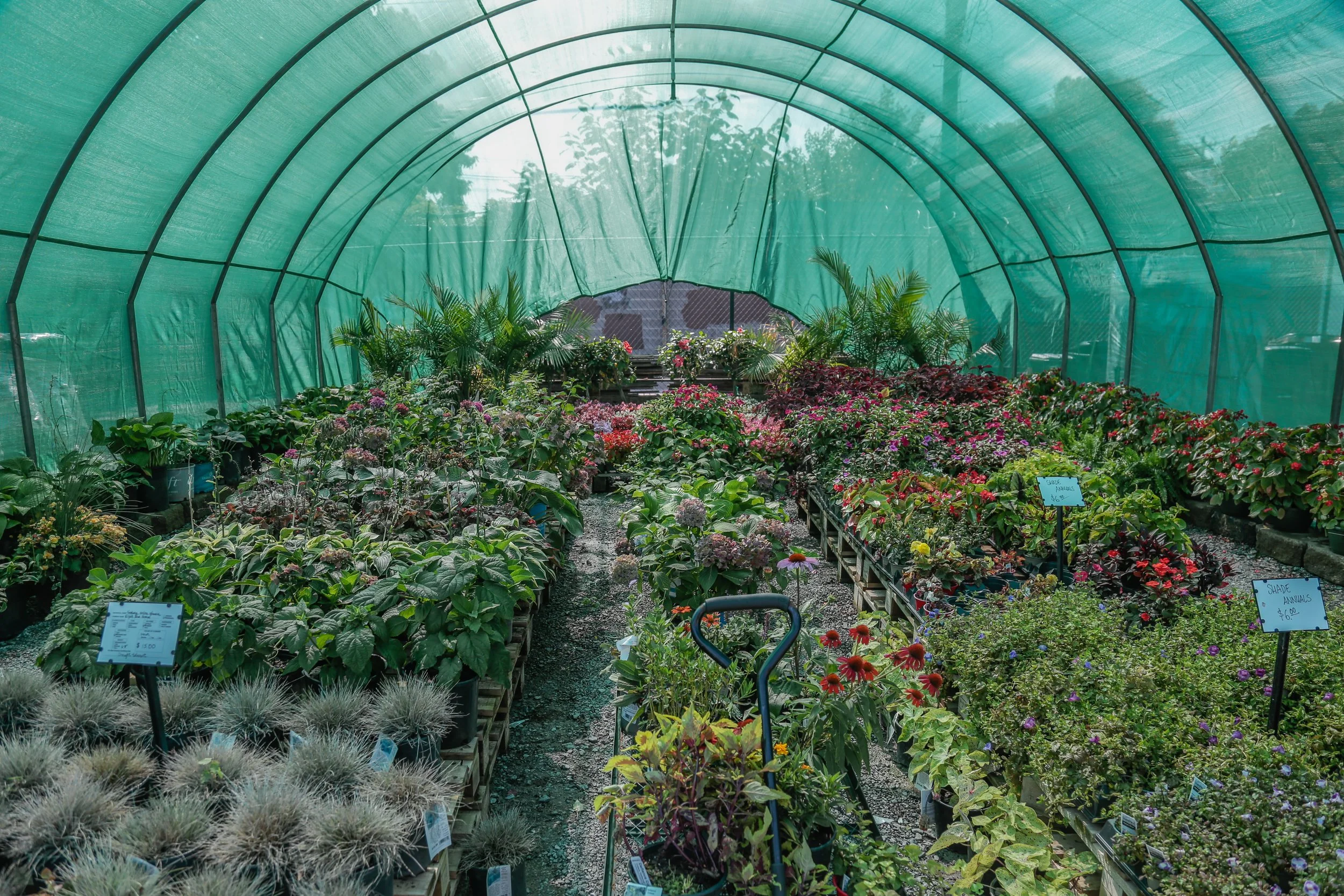 Hess' Landscaping Nursery