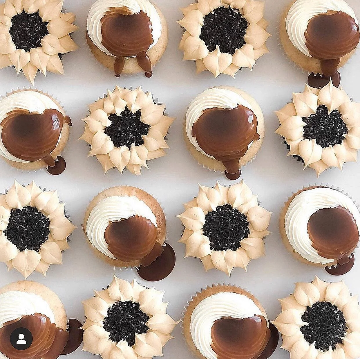 msl sunflower cupcake.jpg