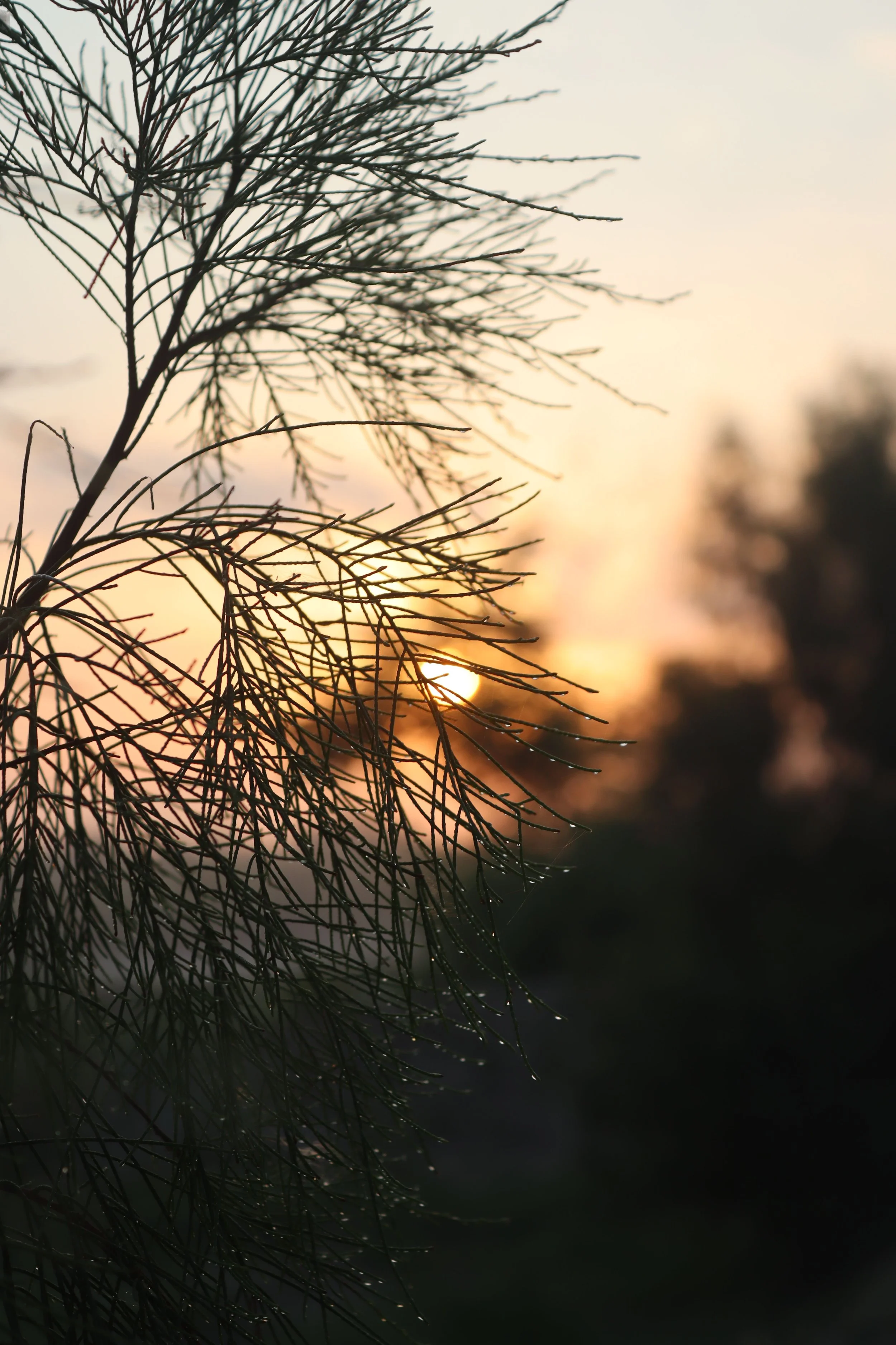 Why Grief Doesn't Follow a Timeline