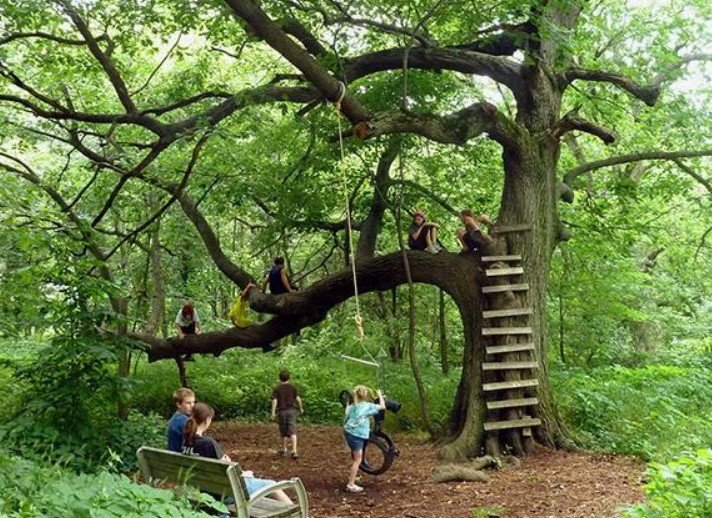 children playing outside, nature based play, play therapy in colorado