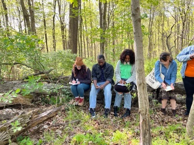Five people sitting on a fallen log in a forest, writing in notebooks.