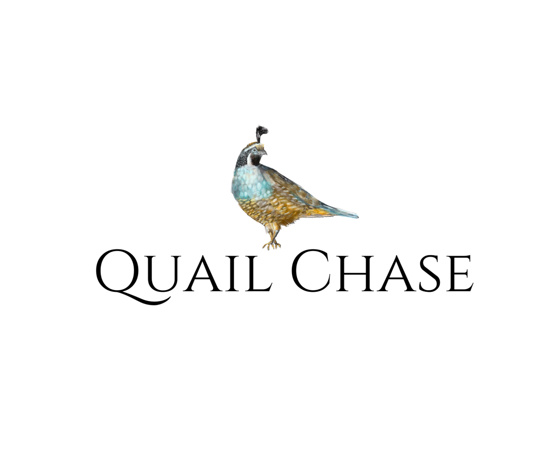 Quail Chase