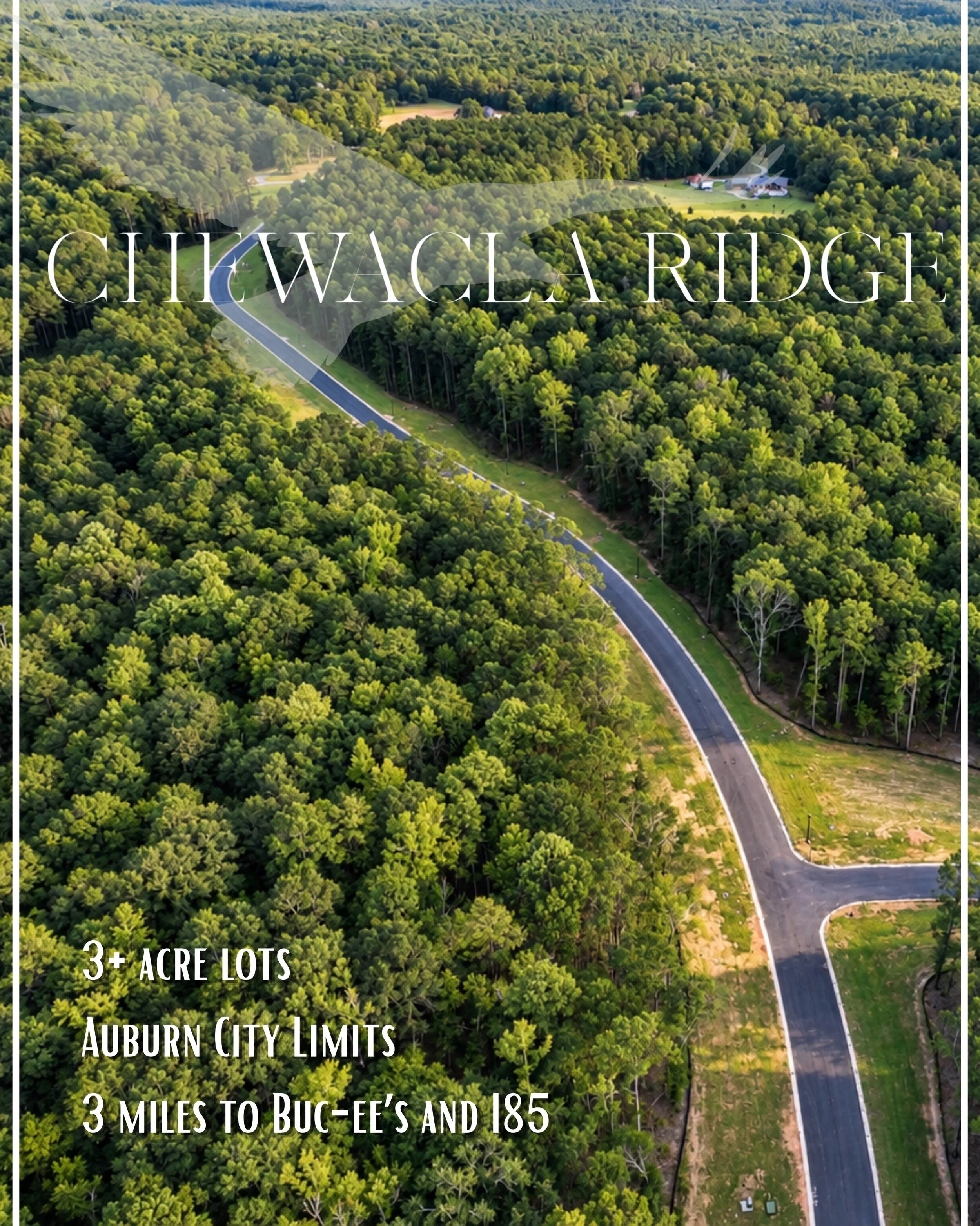 Ready to build your custom home? Looking for acreage on the south side of Auburn? Hoping to be inside city limits with easy access to I85 and all the amenities Auburn/Opelika has to offer? 

We have your solution - Chewacla Ridge! We have lots, all 3