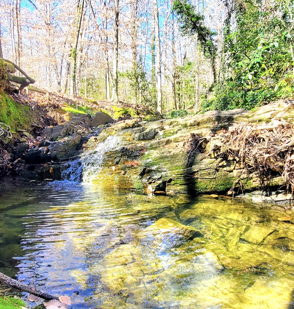 Chewacla Ridge