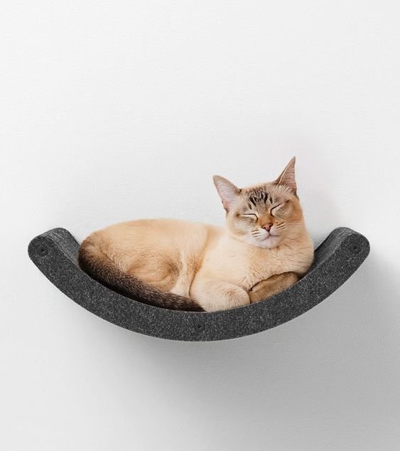 Best Wall-Mounted Cat Tree: Ultimate Guide to Stylish Cat Spaces