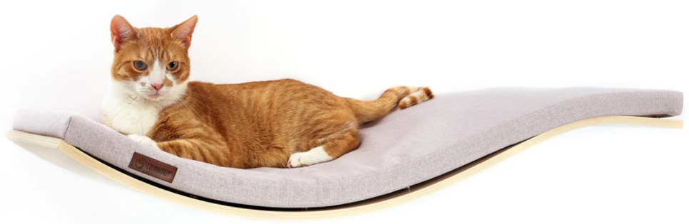 Best Cat Shelf for Large Cats