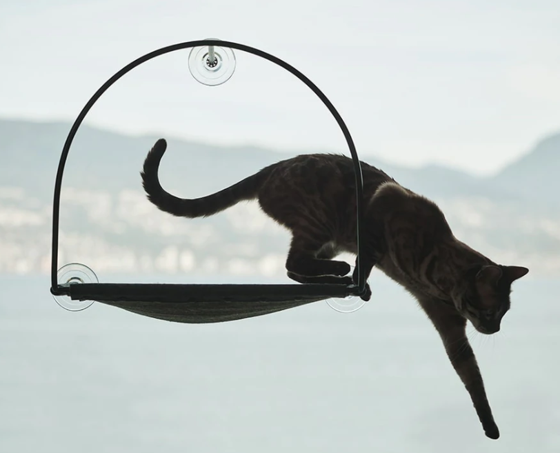 Best Window Cat Perch