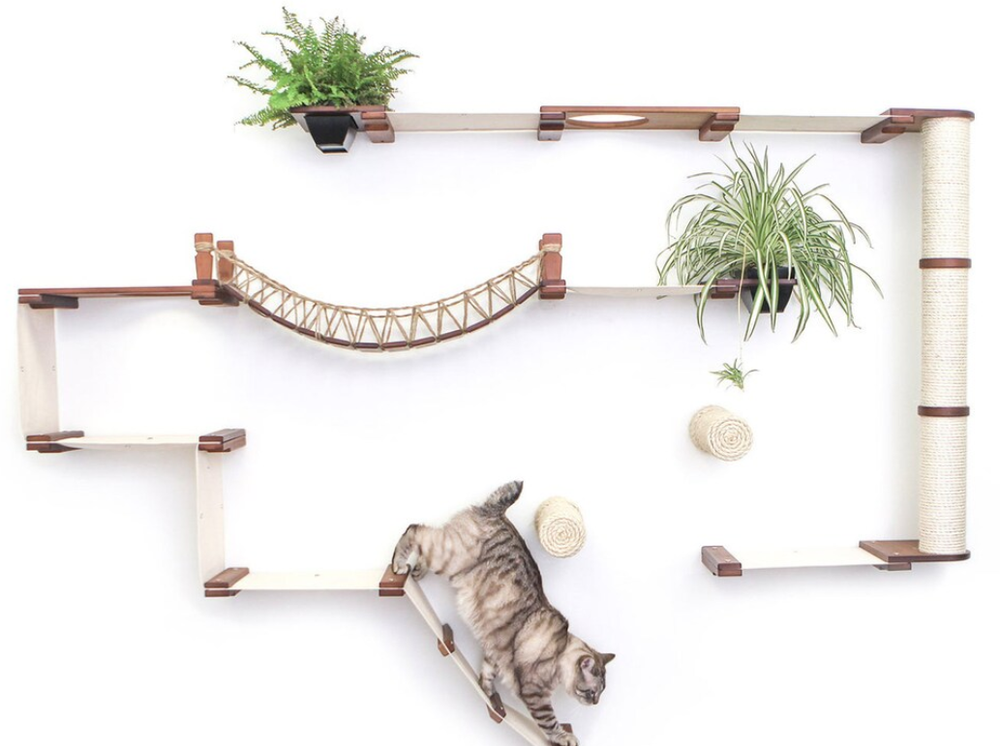 Best Cat Wall Climbing System