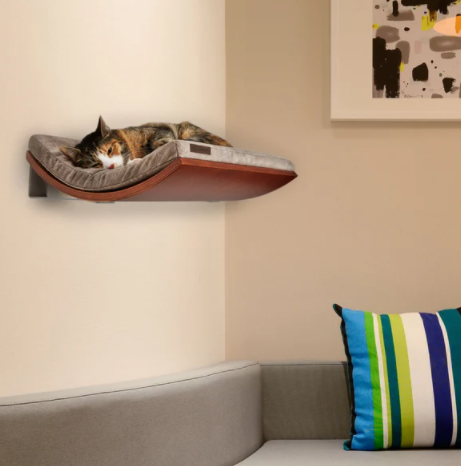 Best Cat Wall Bed