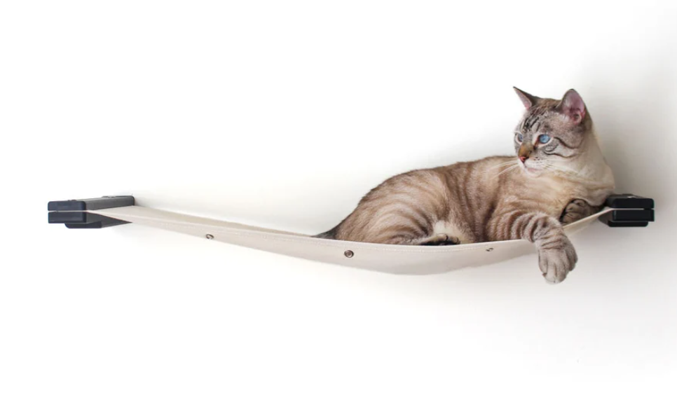 Best Wall Mounted Cat Hammock