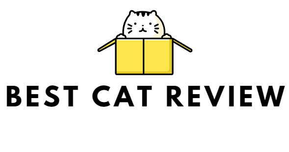 Best Cat Review