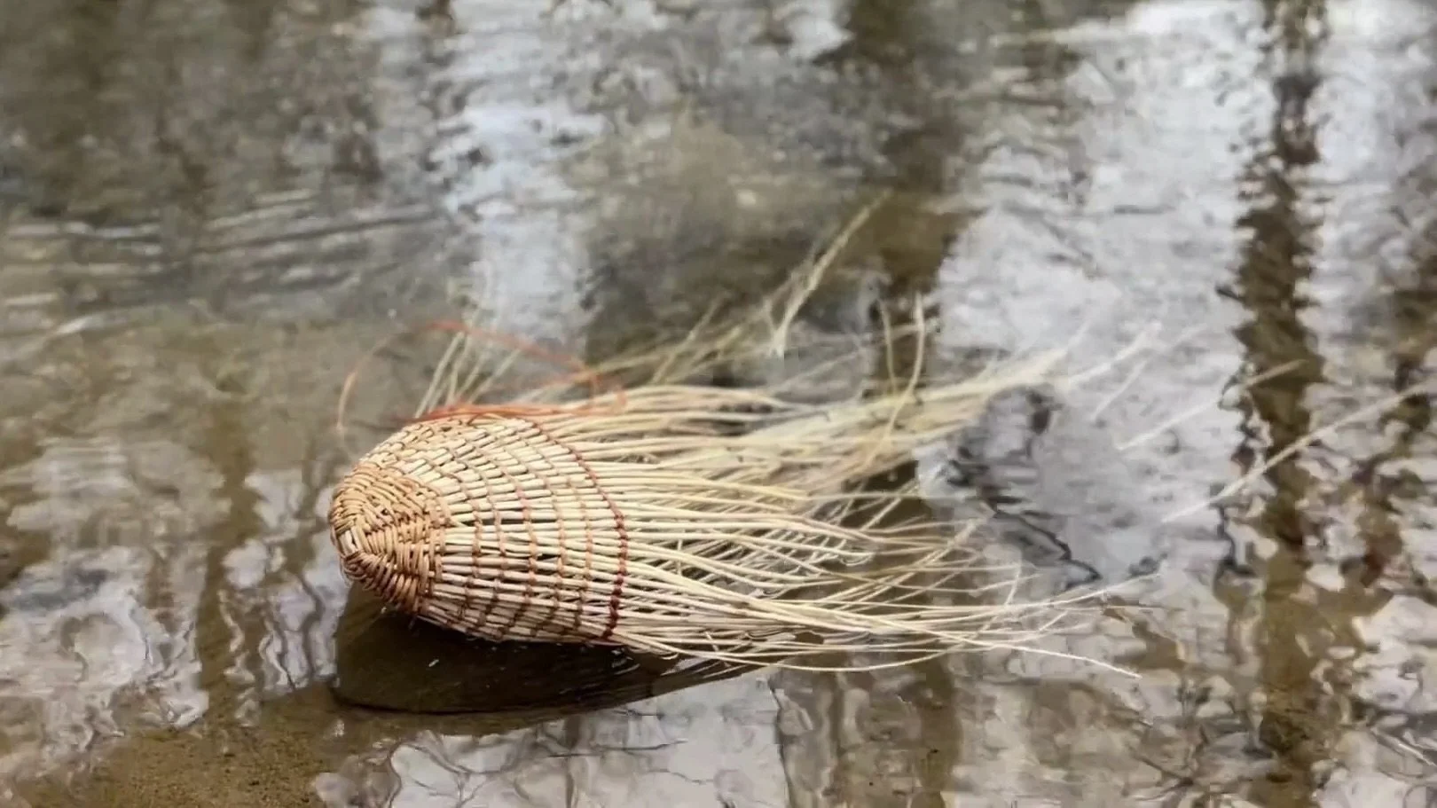 Oregon Origins Project IX: Voices from the Mist