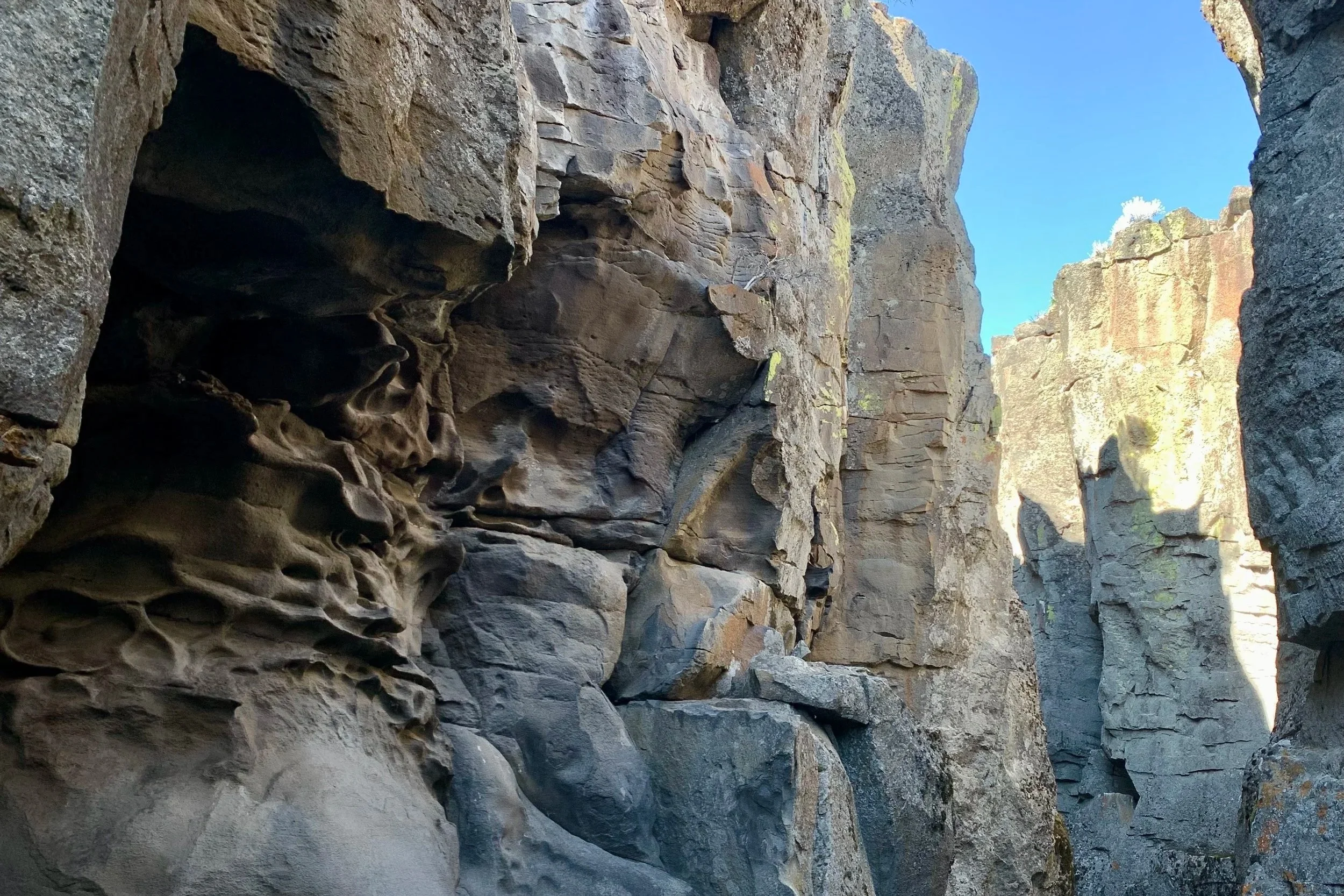 Oregon Origins Project II: Seven Wonders