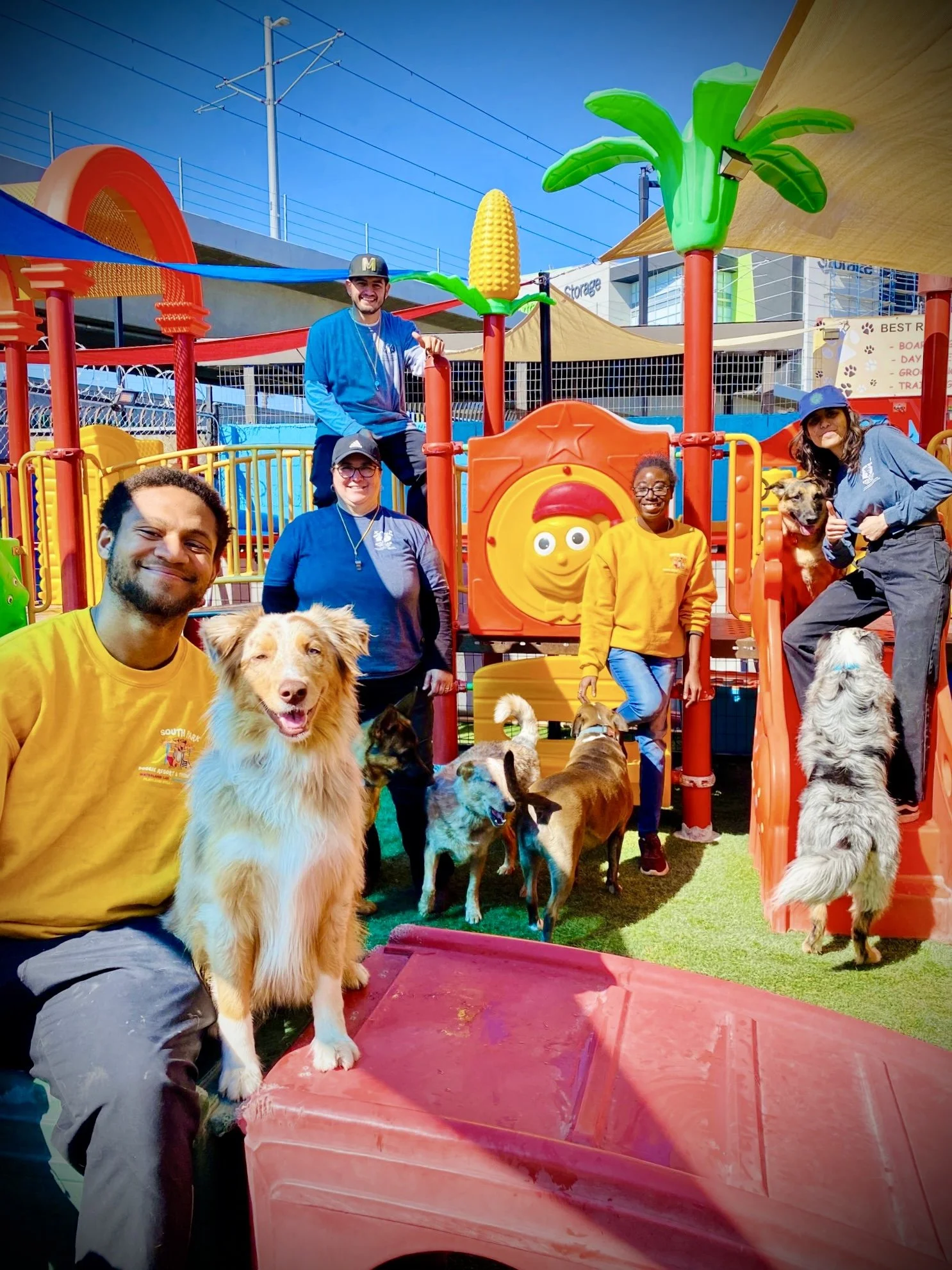 Dog Boarding Los Angeles South Park Doggie